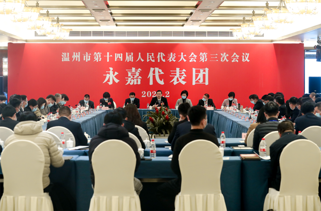 市人大代表、公司党支部书记李向英参加温州市“两会”